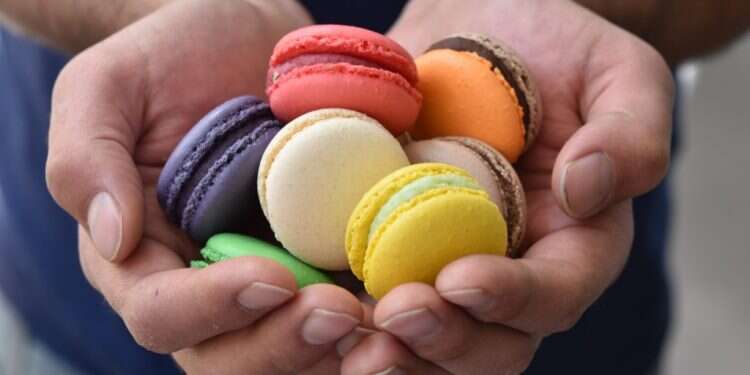 צילום: חן קורן