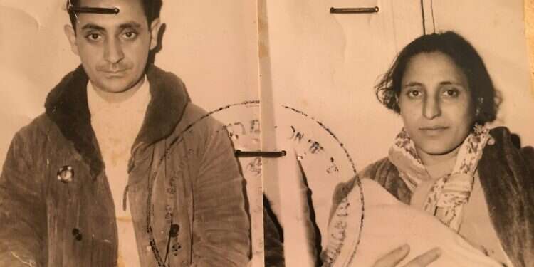 צילום: רועי ברקוביץ'