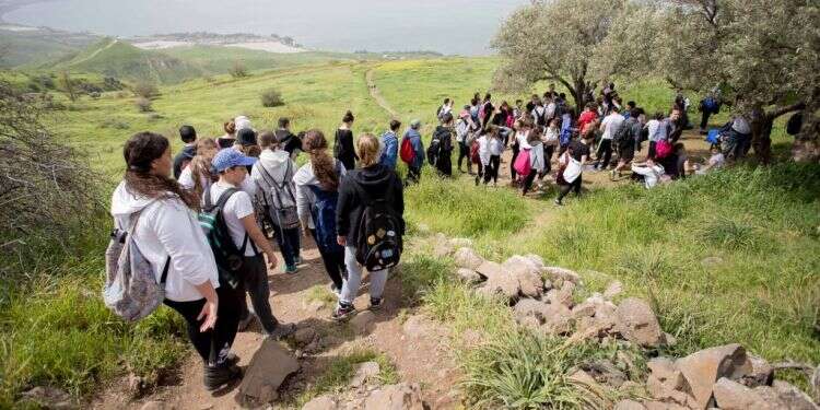צילום: תומר בן אבי
