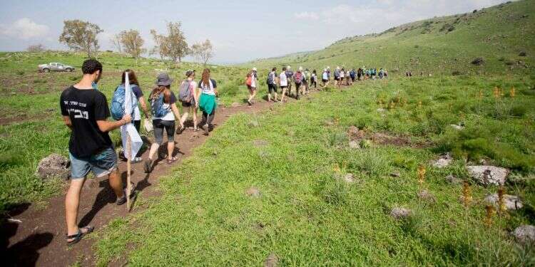 צילום: תומר בן אבי