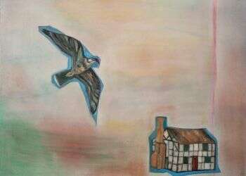 birdwatchers paradise, הילי גרינפלד, שמן על בד, 2017