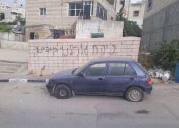 צילום: דוברות המשטרה