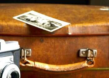 האם מגיע לך החזר על רכוש שניזוק?