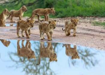כמה עובדות מעניינות שלא ידעתם על טנזניה