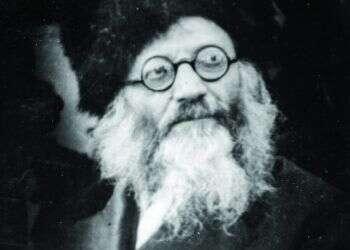 צילום: ארכיון הצילומים של קק''ל