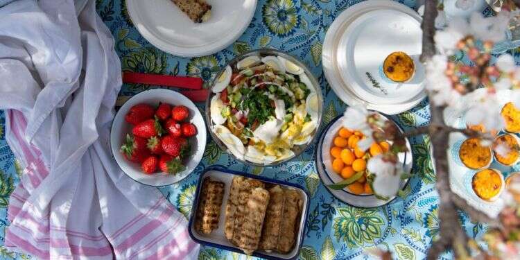 צילום: אפרת מוסקוביץ'