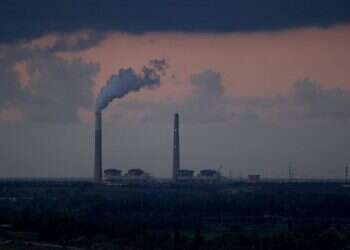 צילום: משה שי, פלאש90