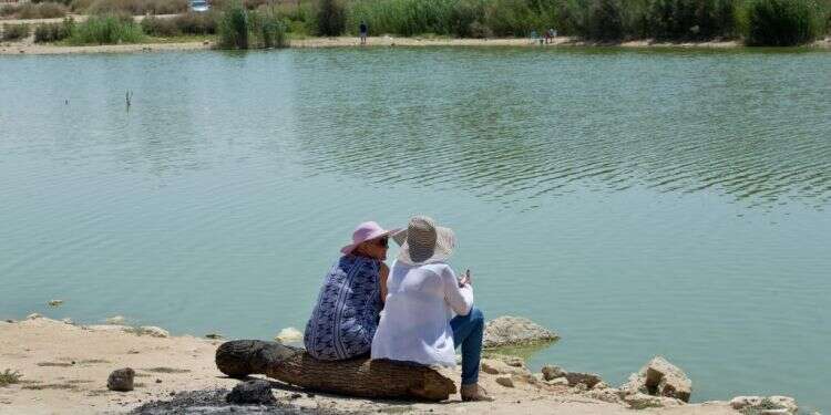 צילום: משה שי, פלאש 90