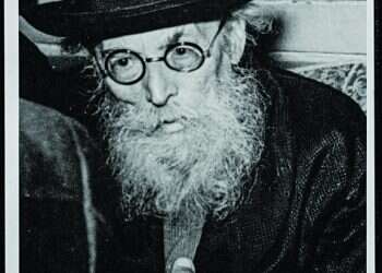 "אני קצת מתבייש בפניך, החזון איש"