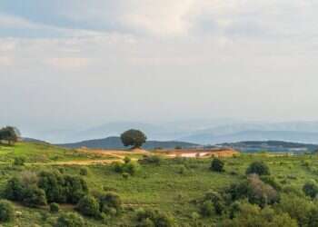 צילום: איתי בודל