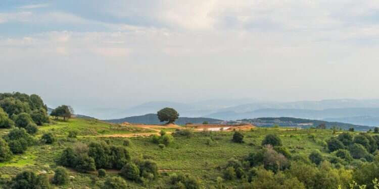 הר מירון, 2013. מתוך הספר צילום: איתי בודל