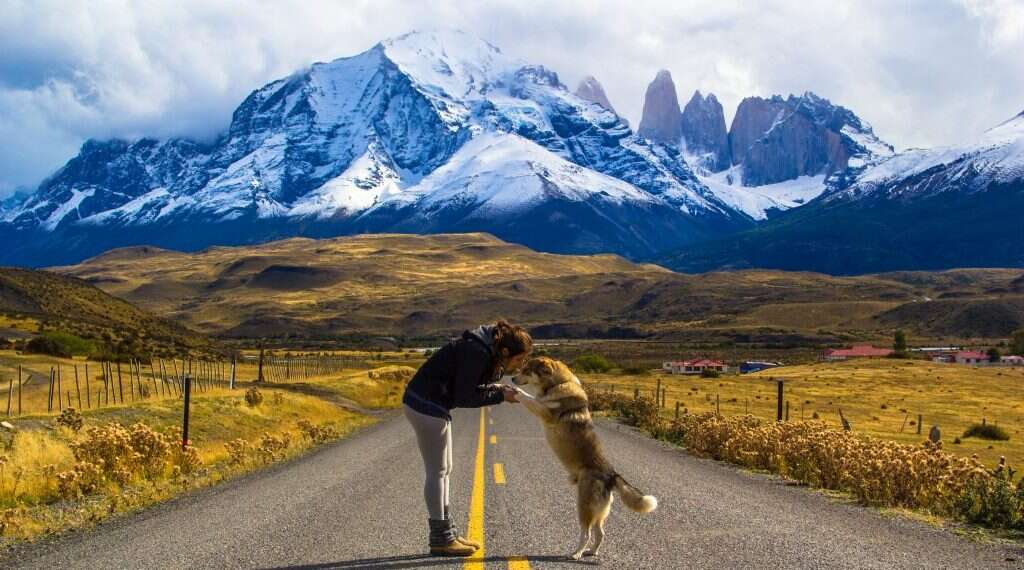 צילום: מעיין שטרן צילום: מעיין שטרן