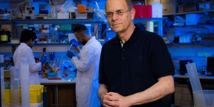 פרופ' יוסי שילה. צילום: אריק סולטן צילום: אריק סולטן