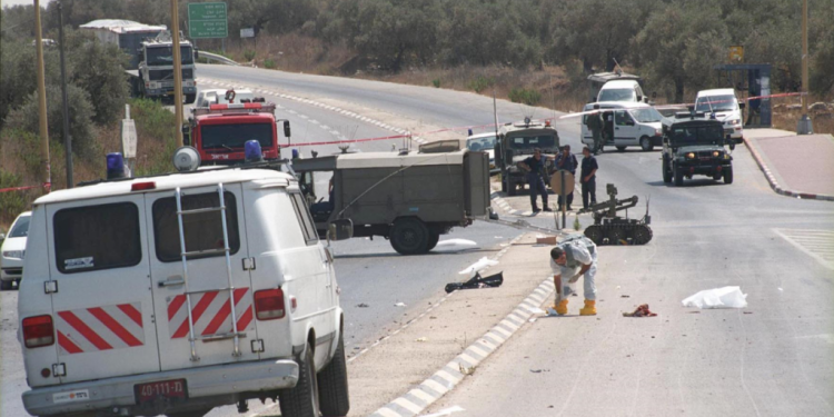 צילום: דובר צה"ל