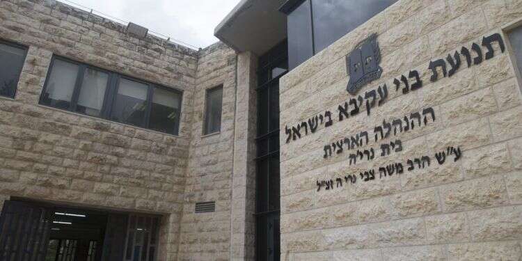 בני עקיבא. צילום: יונתן זינדל, פלאש90 צילום: יונתן זינדל, פלאש90