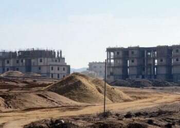 צילום: דודו גרינשפן