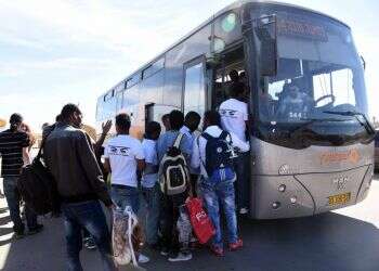 צילום: דודו גרינשפן