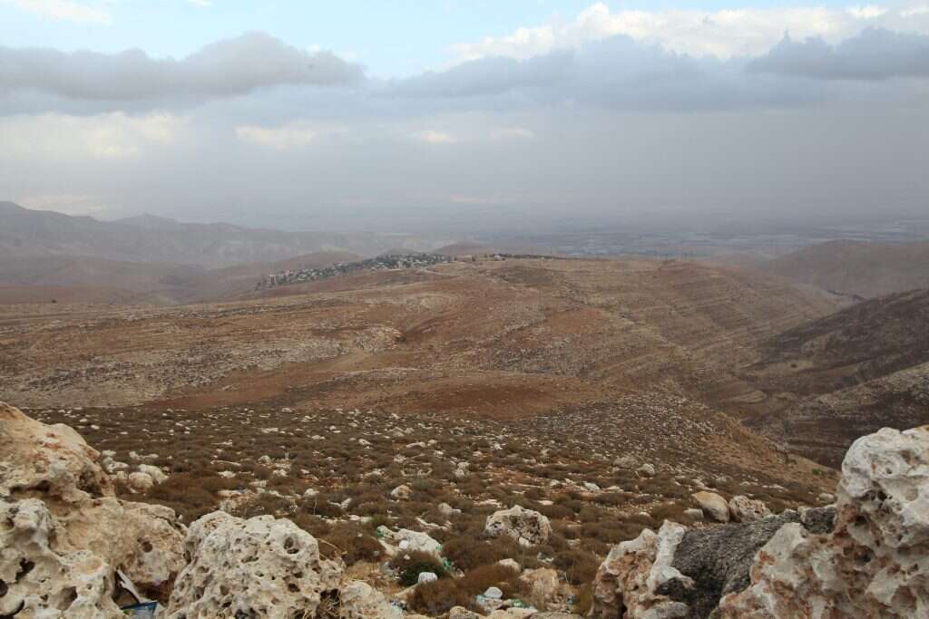צילום: מרים צחי