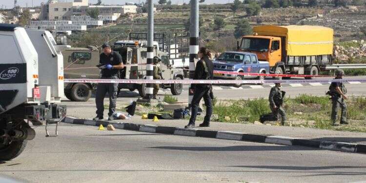 צילום: מרים צחי