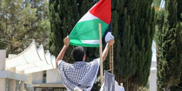 מפגינים פרו פלסטינים. צילום: דני מרון צילום: דני מרון