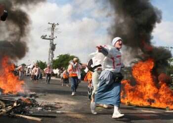 צילום: מרים צחי