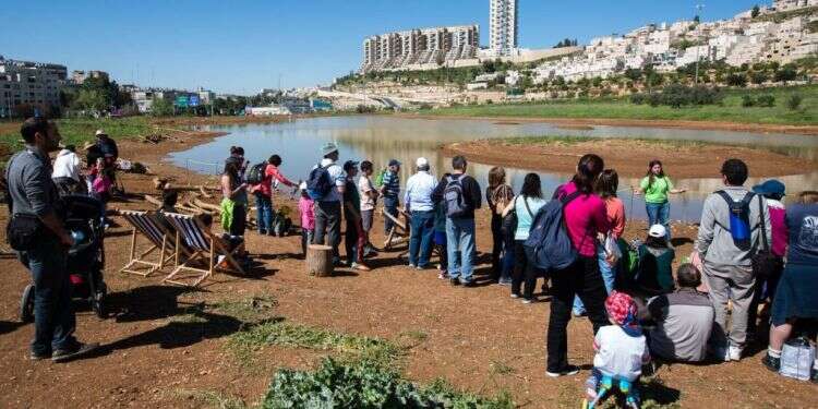 פארק הצבאים. צילום: דודי ועקנין צילום: דודי ועקנין