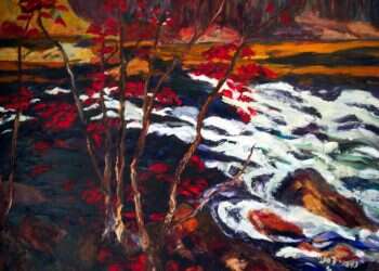 המפל האדום, נעמי חנוכה עמדי, 2007