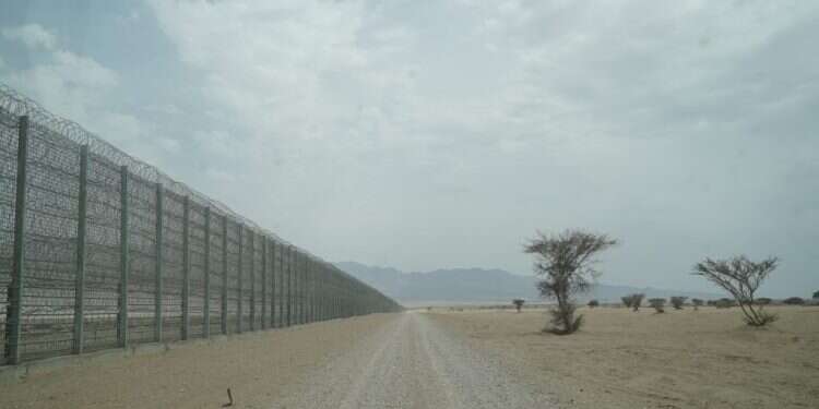 צילום: דו''צ