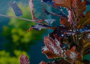 איך מונעים כניסה של פשפשים לבית?