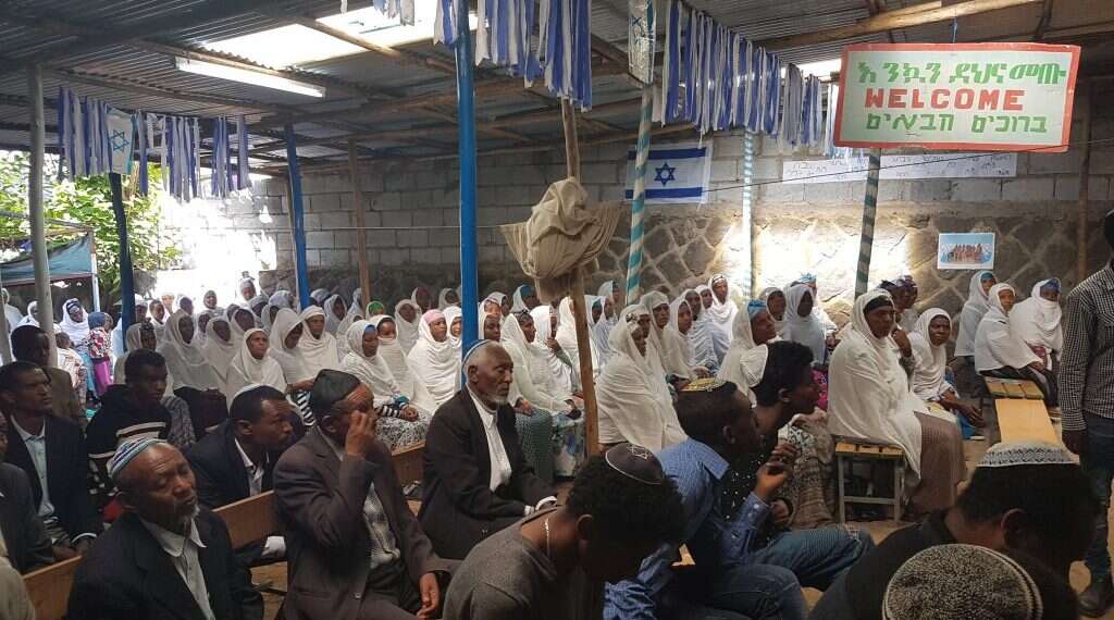 צילום: צביקה קליין