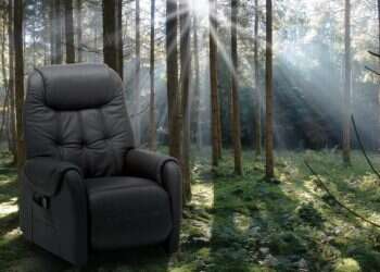 כורסאות טלוויזיה מיוחדות: עיצוב עור ובד