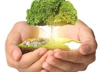 כיצד אפשר למצוא בן זוג?