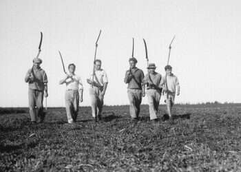 צילום: קלוגר זולטן, לע''מ