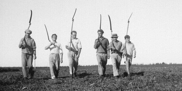 צילום: קלוגר זולטן, לע''מ