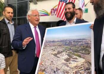 צילום: ישראל כהן - כיכר השבת