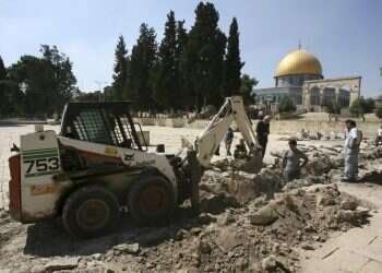 צילום: רויטרס