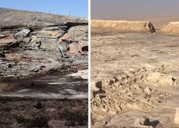 צילום: דודו גרינשפן ועודד נצר, המשרד להגנת הסביבה