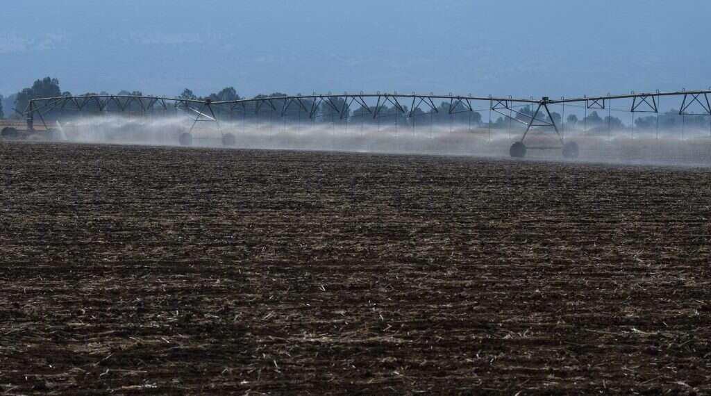 צילום: אייל מרגולין - ג'יני צילום: אייל מרגולין - ג'יני