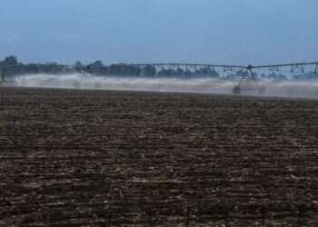 צילום: אייל מרגולין - ג'יני