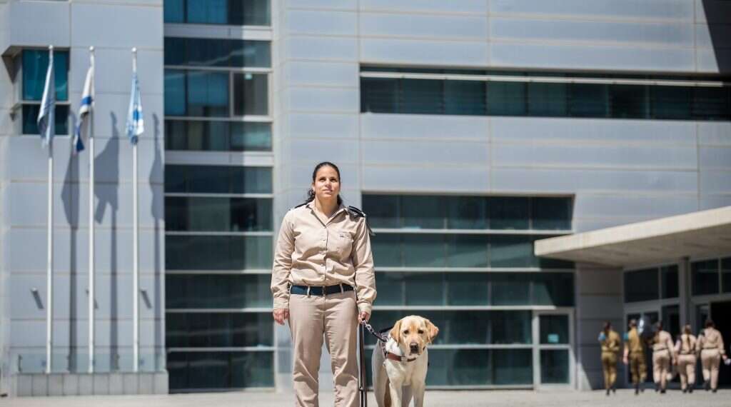 הילה מעודה. צילום: אבישג שאר-ישוב צילום: אבישג שאר-ישוב