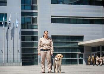 צילום: אבישג שאר-ישוב