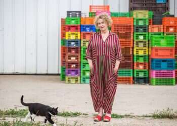 צילום: אבישג שאר-ישוב