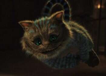 צילום: באדיבות YES