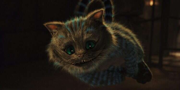 צילום: באדיבות YES