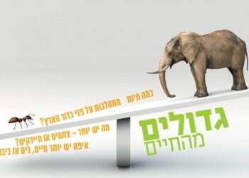 צילום: שאטרסטוק