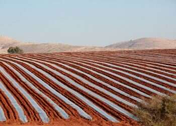 צילום: מרים צחי