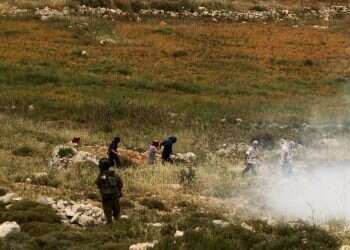 צילום: מרים צחי