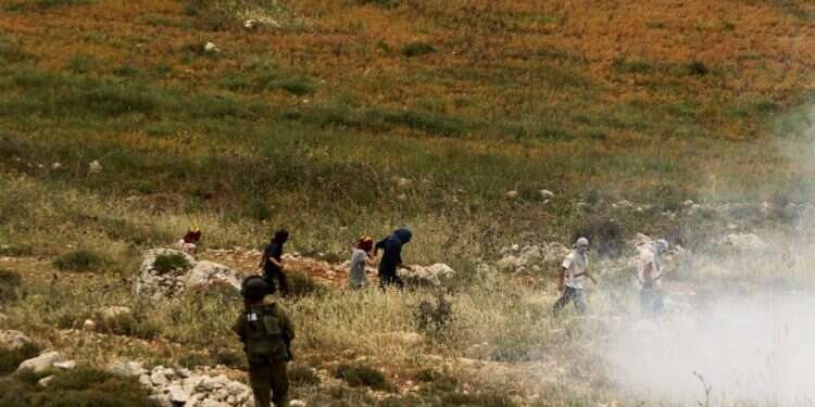 צילום: מרים צחי