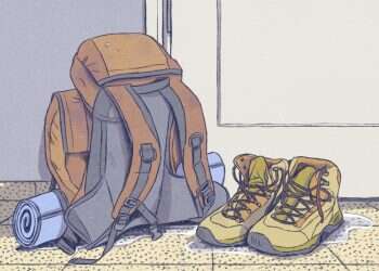 איור: דניאל פלג