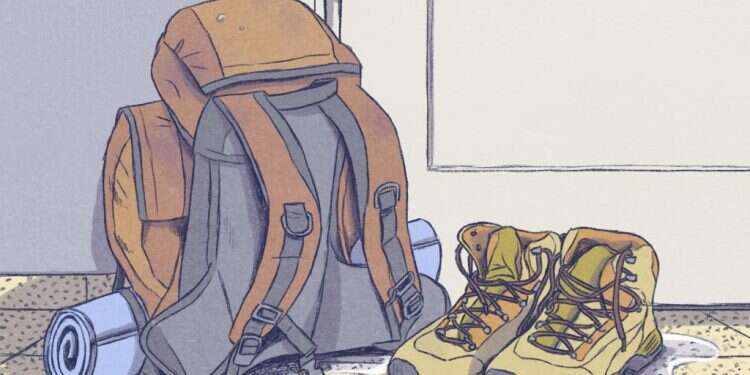 איור: דניאל פלג